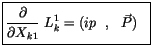 $\displaystyle \fbox {$\rule[-4mm]{0cm}{1cm}\displaystyle\frac {\partial}{\partial X_{k1}}\ L_k^1 = ( i p \ \ , \ \ \vec{P} ) \ \ $}$