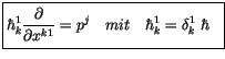 $\displaystyle \fbox {$\rule[-4mm]{0cm}{1cm}\hbar_k^1 \displaystyle\frac {\partial}{\partial x^{k1}}= p^j \ \ \ mit \ \ \ \hbar_k^1 = \delta_k^1 \ \hbar \ \ $}$