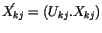 $\acute{X_{kj}} = ( U_{kj} . X_{kj} )$